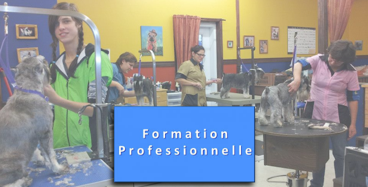 professionnelle