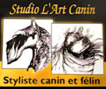 logo art canin